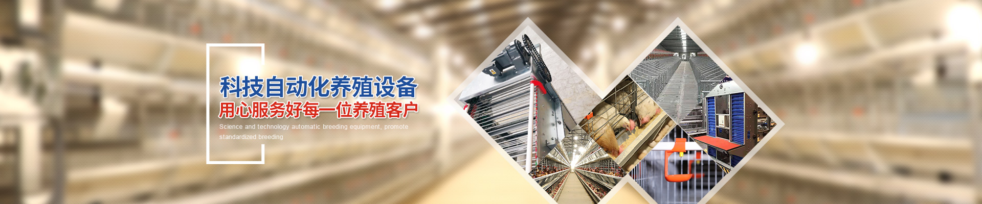 科學(xué)自動化養(yǎng)殖設(shè)備